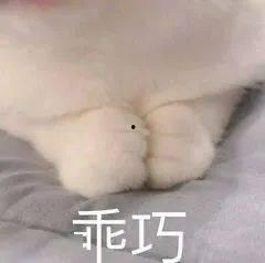 国产a斤,引领行业新潮流的匠心之作